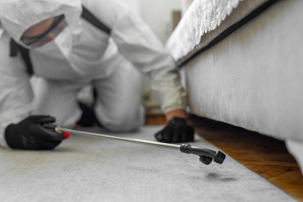 Professional Bed Bug Control technician working in Gadsden County County, FL